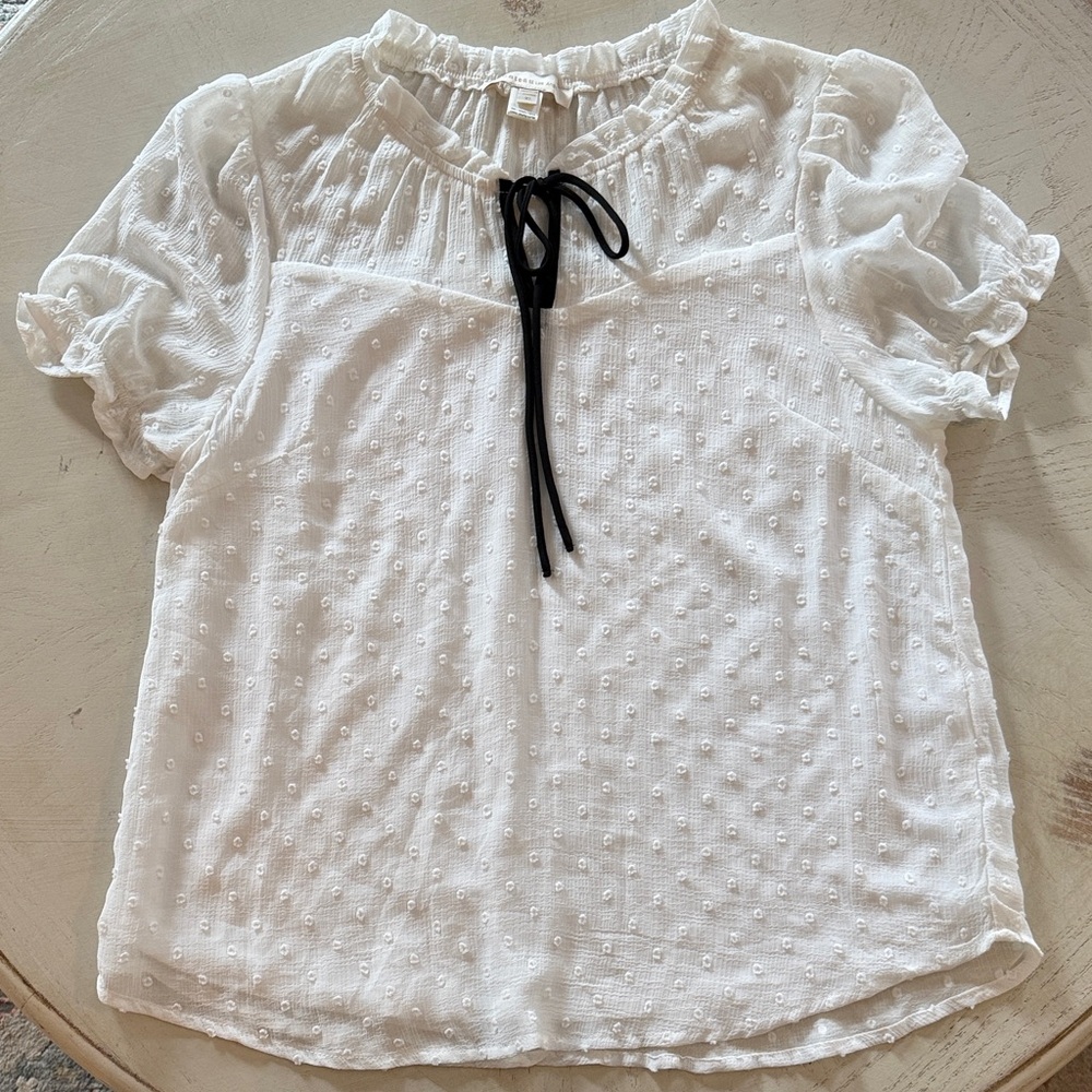 Classic White Cochette Textured Swiss Dot Tie-Neck Women's Top XL